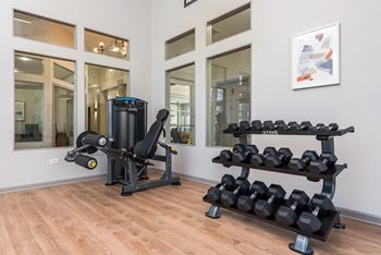 A gym room with a row of dumbbells and a weight machine.