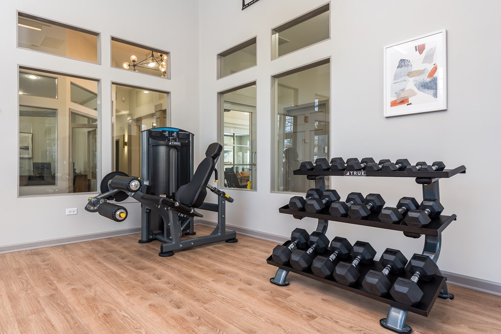 A gym room with a row of dumbbells and a weight machine.