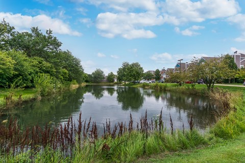 A serene lake surrounded by lush greenery and trees under a clear blue sky.