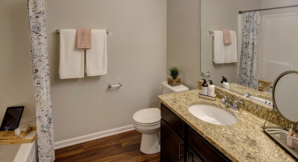 a bathroom with a sink and a toilet and a shower