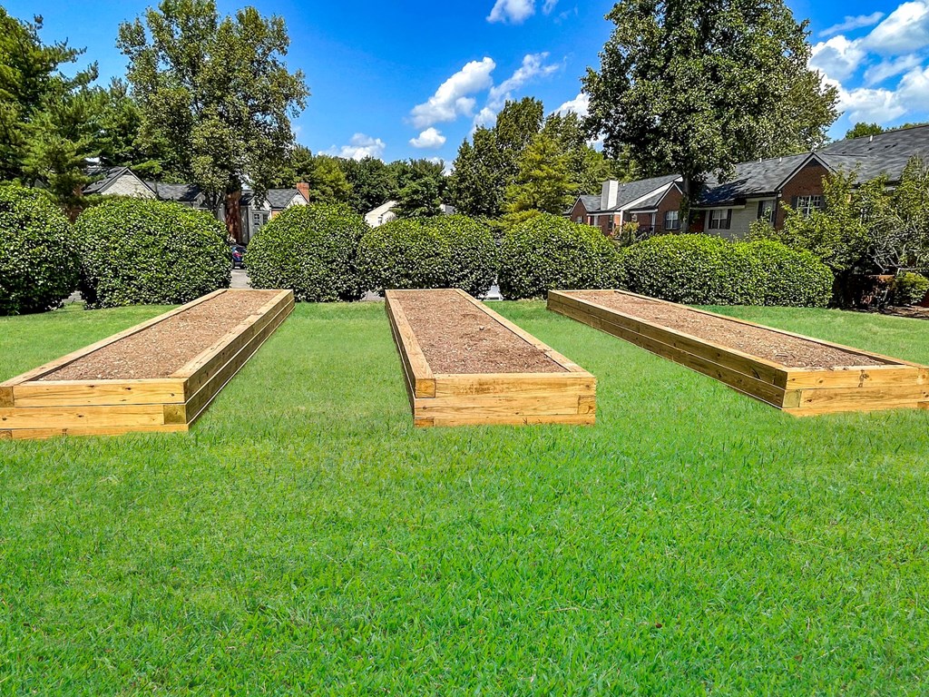 a row of raised beds on a lawn in a yard
