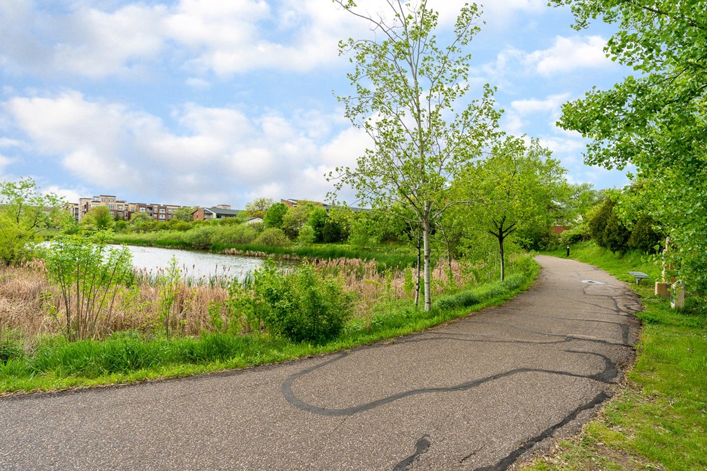 a bike path next to a lake in a park