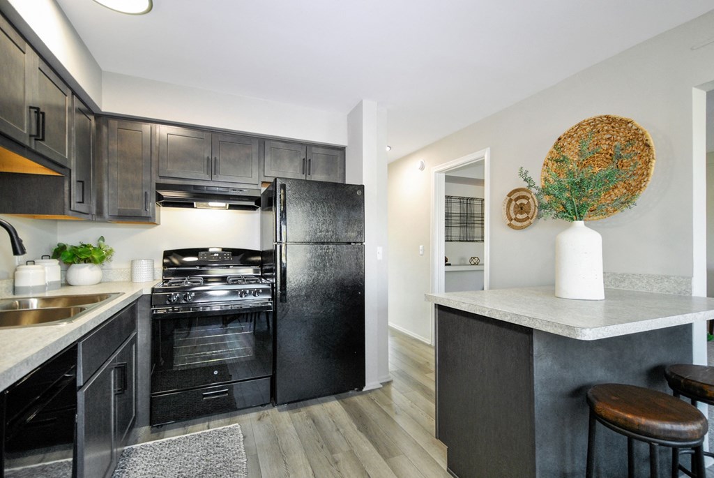 a kitchen with black appliances and a black refrigerator