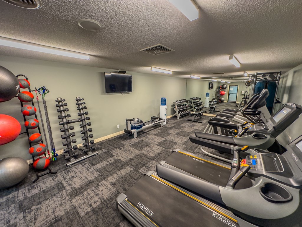 spacious gym with cardio equipment and weights at the enclave at woodbridge apartments