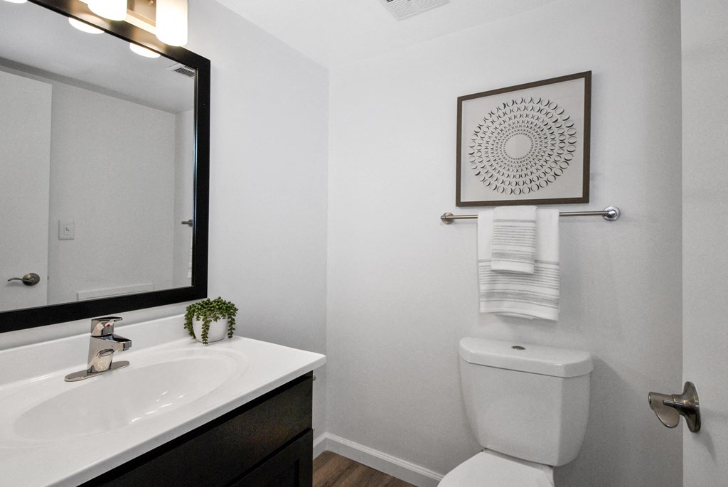 a vanity, toilet, and mirror in a bathroom at The Maxwell