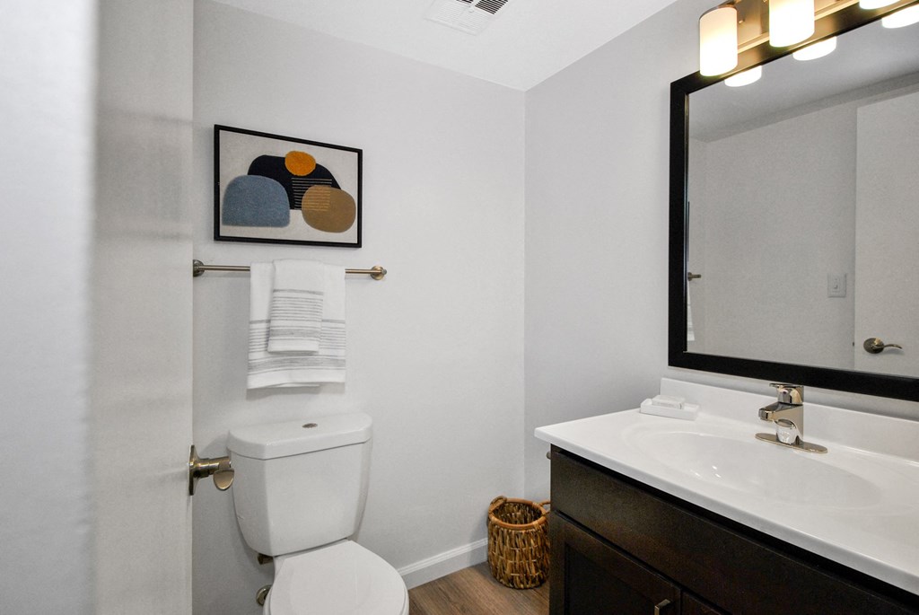 a bathroom with a toilet and a sink and a mirror