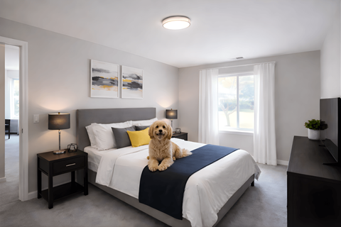 A dog is sitting on a bed in a bedroom.