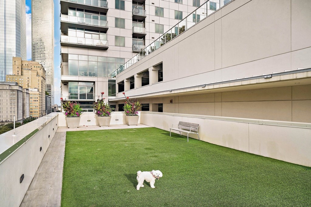 a dog running on the lawn of an apartment yard