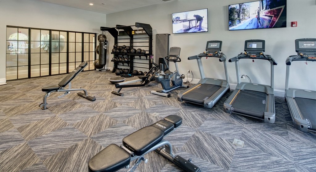 Workout equipment and free weights - The Mil'Ton