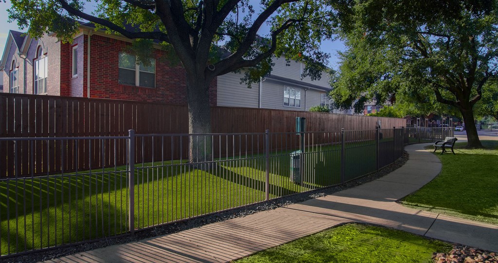 A tree in a yard behind a fence.