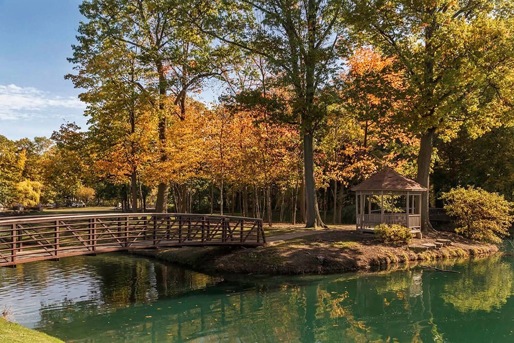 beautiful pond with a bridge surrounded by fall trees