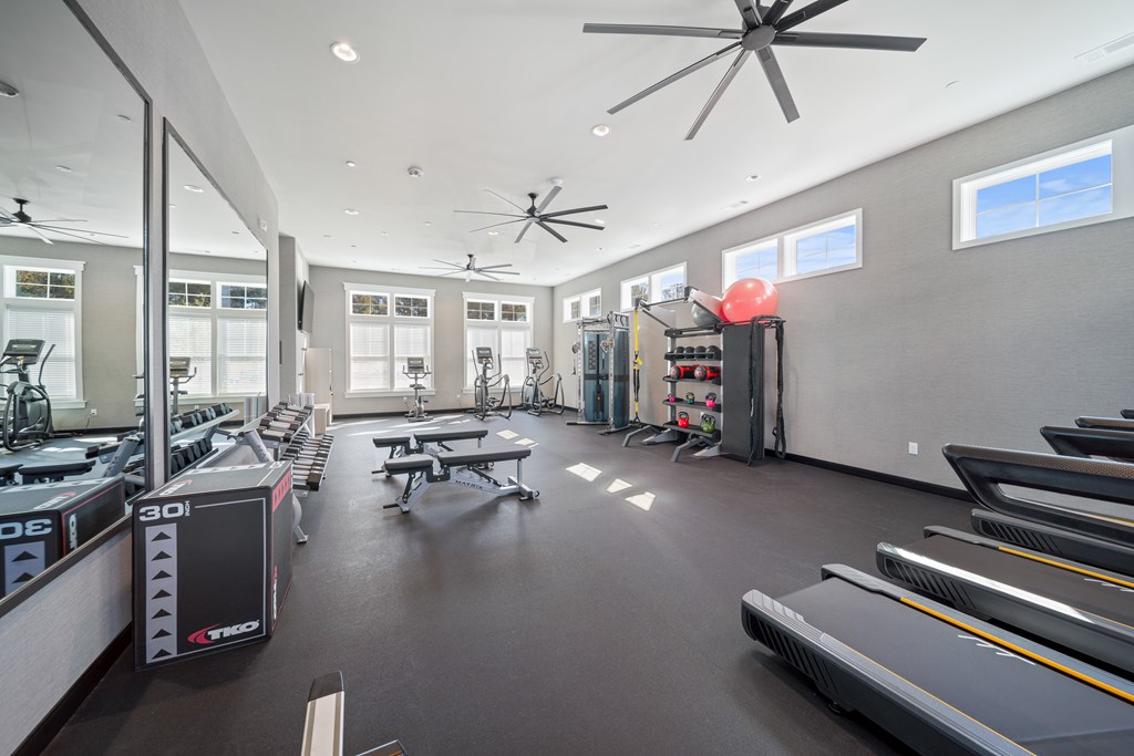 A gym with treadmills, elliptical machines, and a rowing machine.