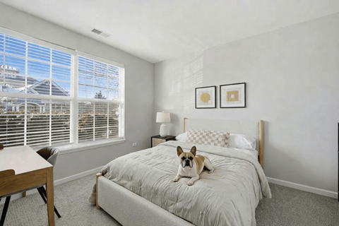 A dog is sitting on a bed in a bedroom.