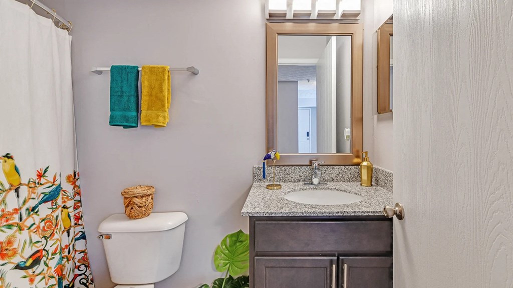 a bathroom with a sink and a toilet and a mirror