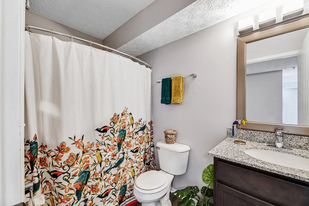 a bathroom with a shower and a toilet and a sink