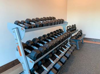 A row of weights on a rack in the fitness center