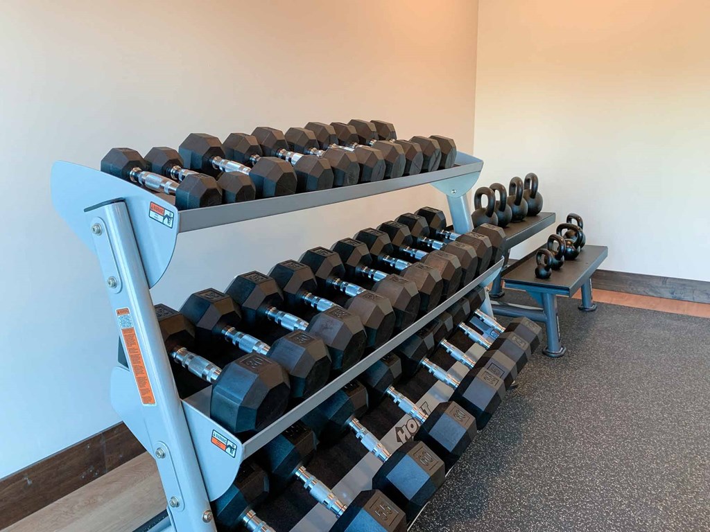 A row of weights on a rack in the fitness center