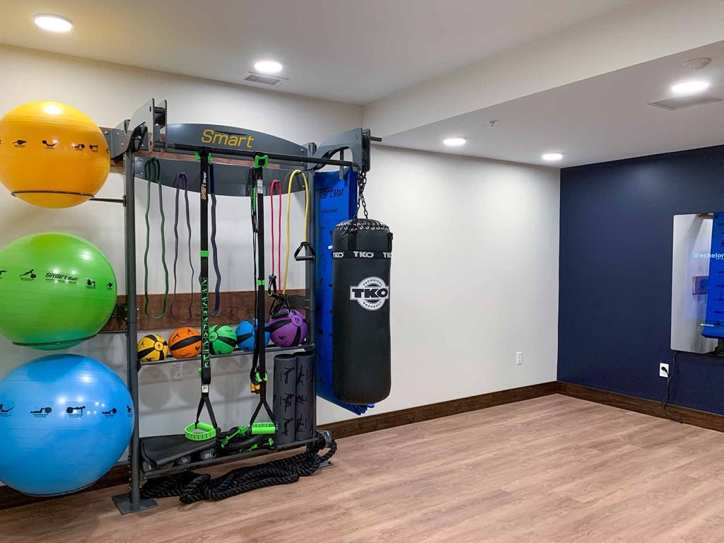 A fitness center with a punching bag and other exercise equipment
