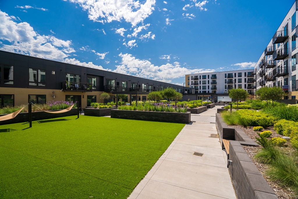 Hammock on grassy area with view of luxury apartments in the background
