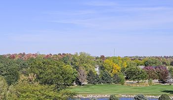 a view of a park with trees and a river