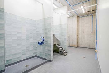 a tiled dog spa with a large walk-in shower, and a pet wash station