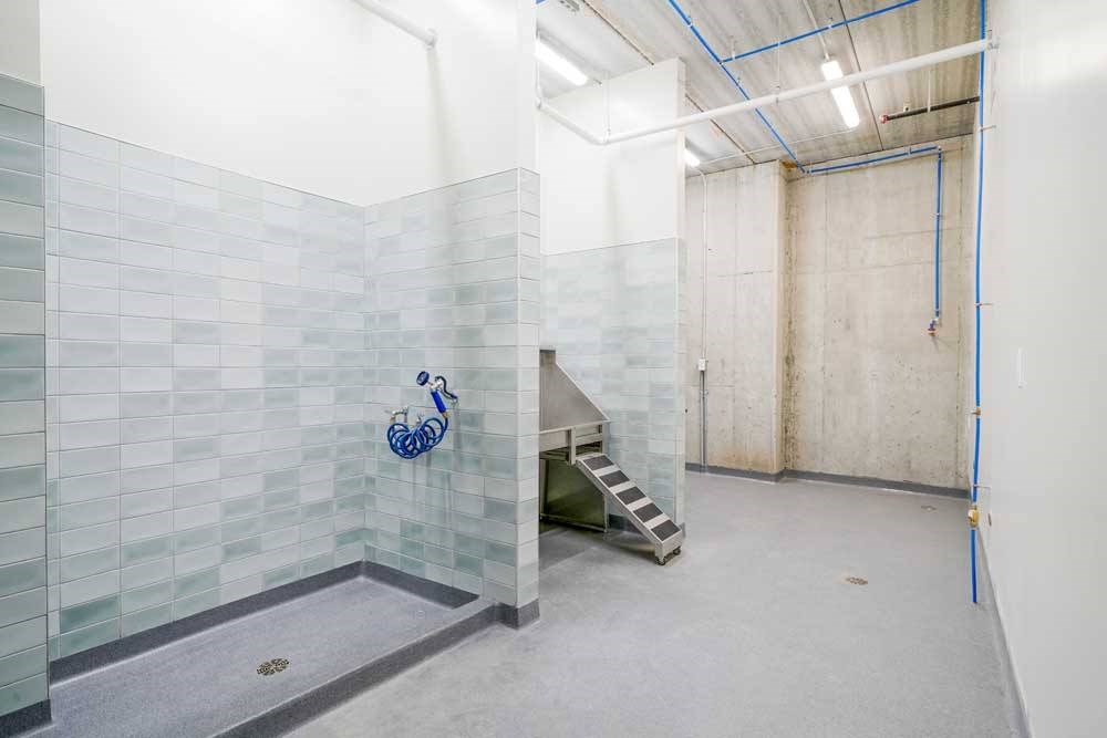 a tiled dog spa with a large walk-in shower, and a pet wash station