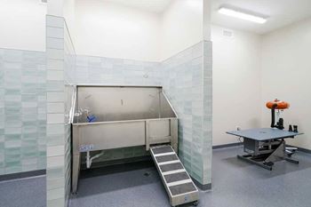 a tiled pet spa with a walk-in shower for larger dogs, a washing station for smaller dogs, and a hair drying station on the penthouse level