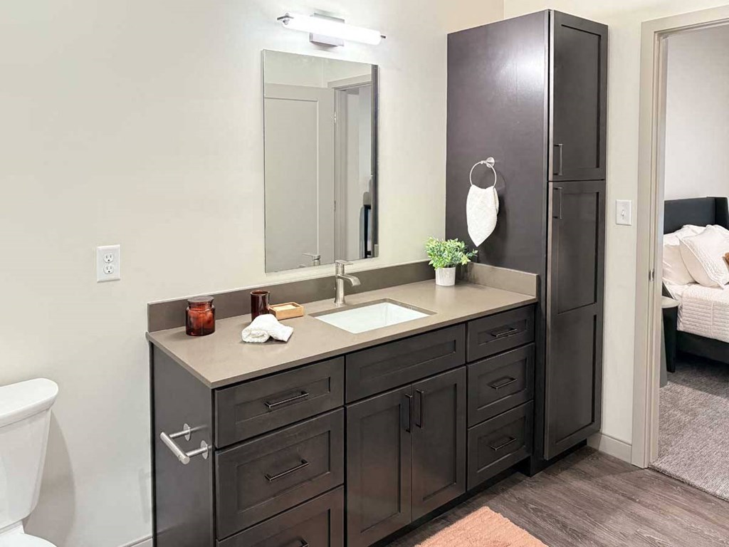 a walk-through bathroom with a long vanity sink, quartz countertops, dark wooden cabinets, and a tall storage cabinet