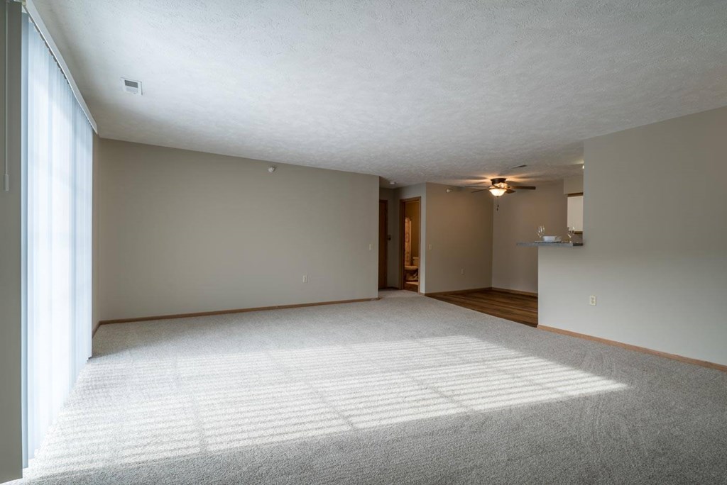 A living room with a carpeted floor and a patio door letting in sunlight.