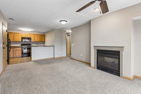 A living room with a fireplace and a kitchen area in the background.