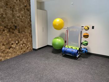yoga studio with yoga and medicine ball equipment