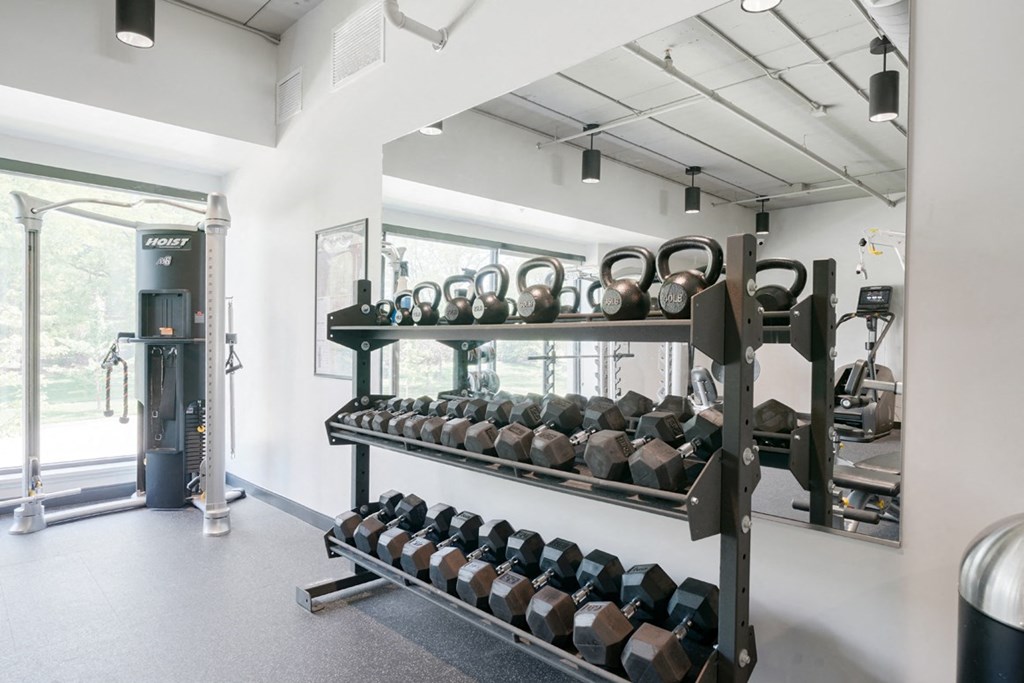 a rack of dumbbells in a gym with a large window