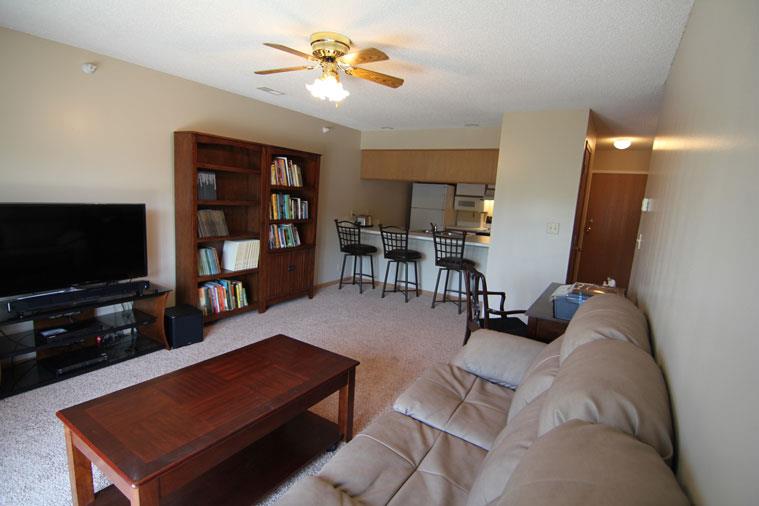 Interiors-Skyline View Apartments Living Area with Ceiling Fan in Lincoln NE