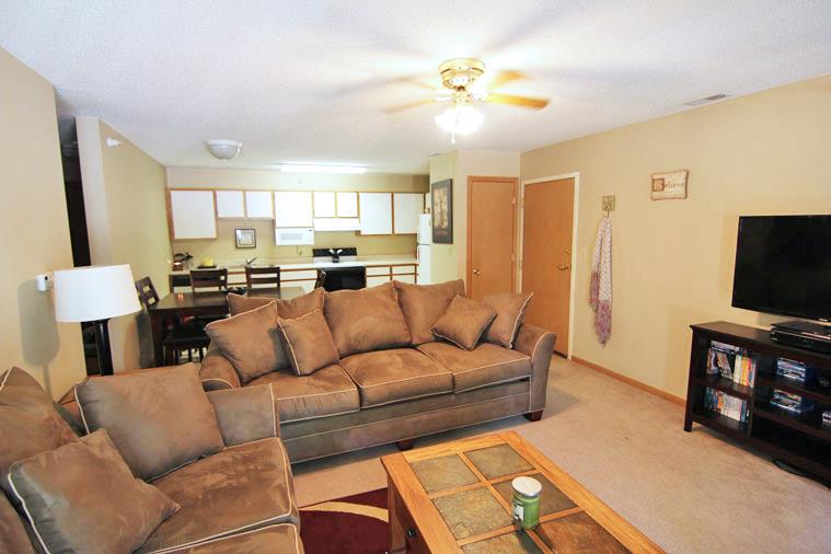 Interiors-Skyline View Apartments Living Area and Kitchen Area in Lincoln NE