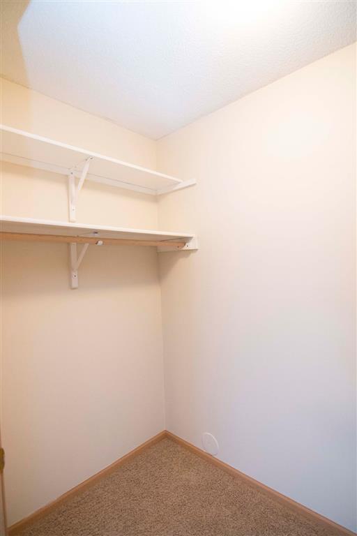 Large Walk-In Closet with ample storage at Northbrook Apartments in Lincoln NE