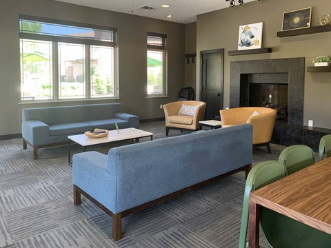 a living room with couches chairs and a fireplace