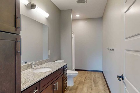 A long bathroom with a granite vanity sink, mirror, tall cabinet, and walk-in shower..