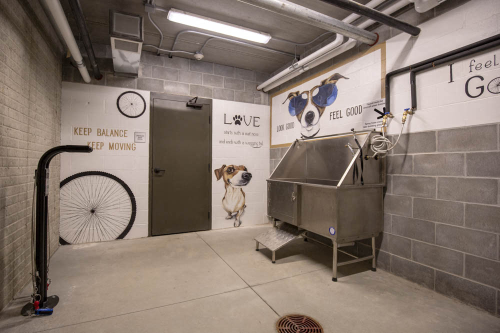 Bike repair station and pet wash station at North Pointe Villas luxury apartments in North Lincoln NE 68521