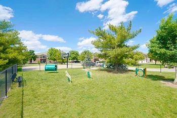 a dog park with agility training equipment and trees