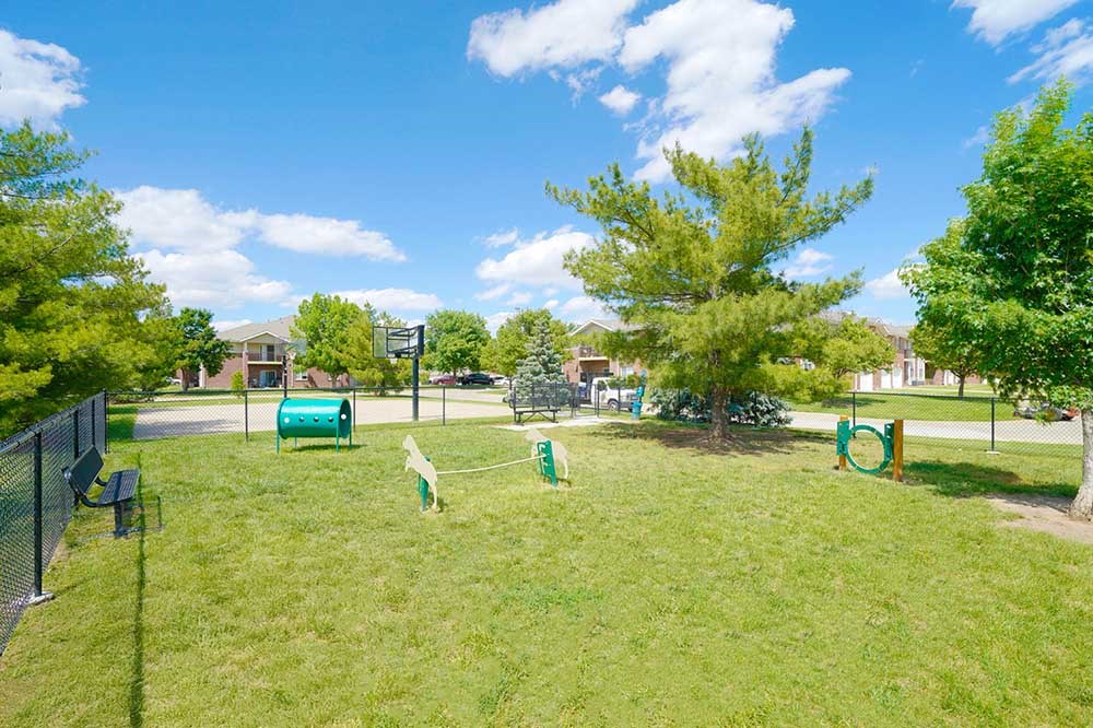 a dog park with agility training equipment and trees