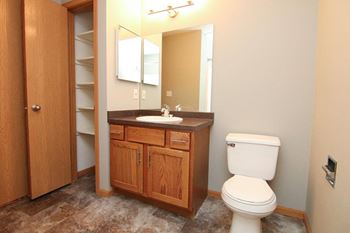 a bathroom with a toilet and a sink and a mirror