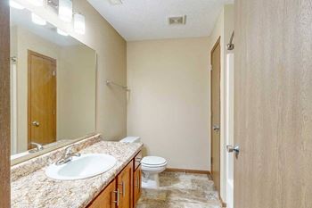 A bathroom with a wide vanity sink, large mirror, overhead lighting, and a linen closet.