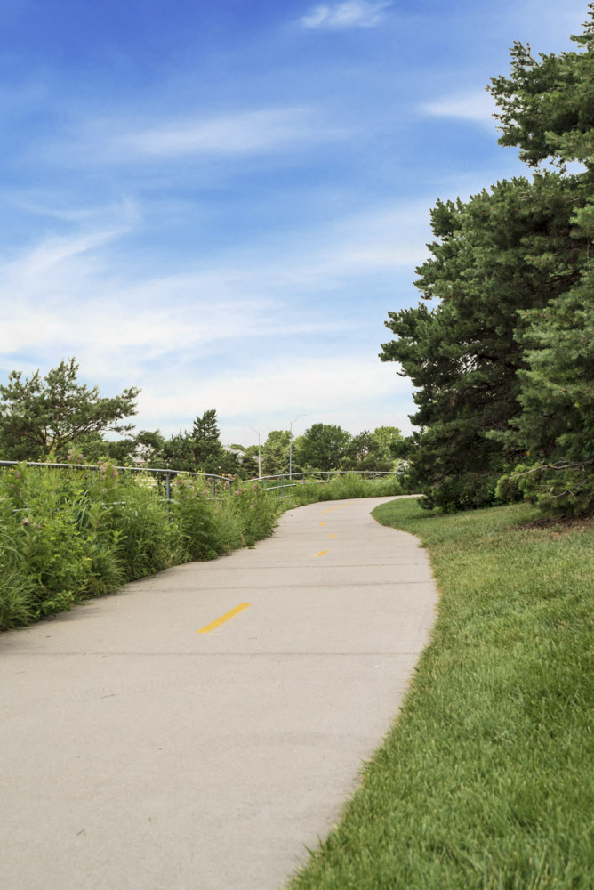 Trails at Pine Lake Heights