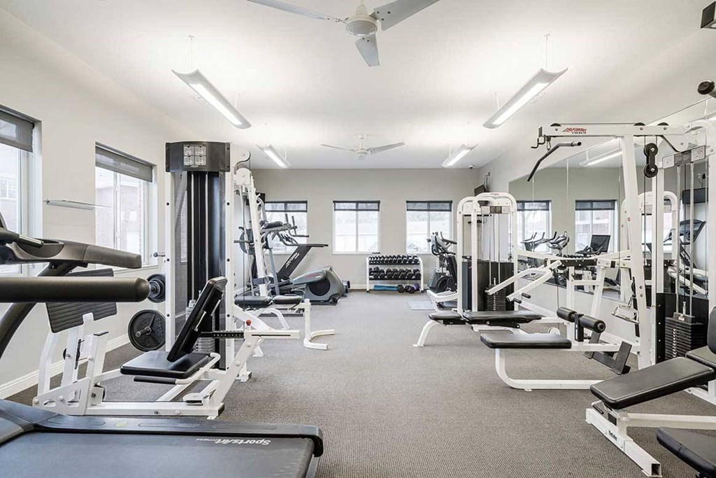 a gym with weights and exercise machines