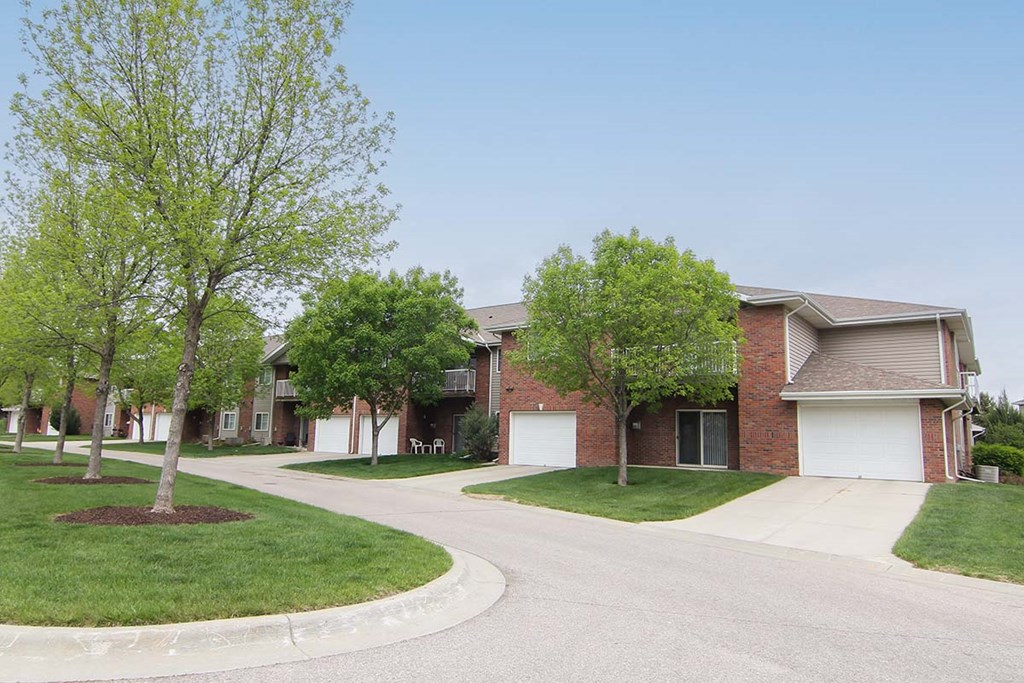 A tree with green leaves stands in a grassy area in front of a house.