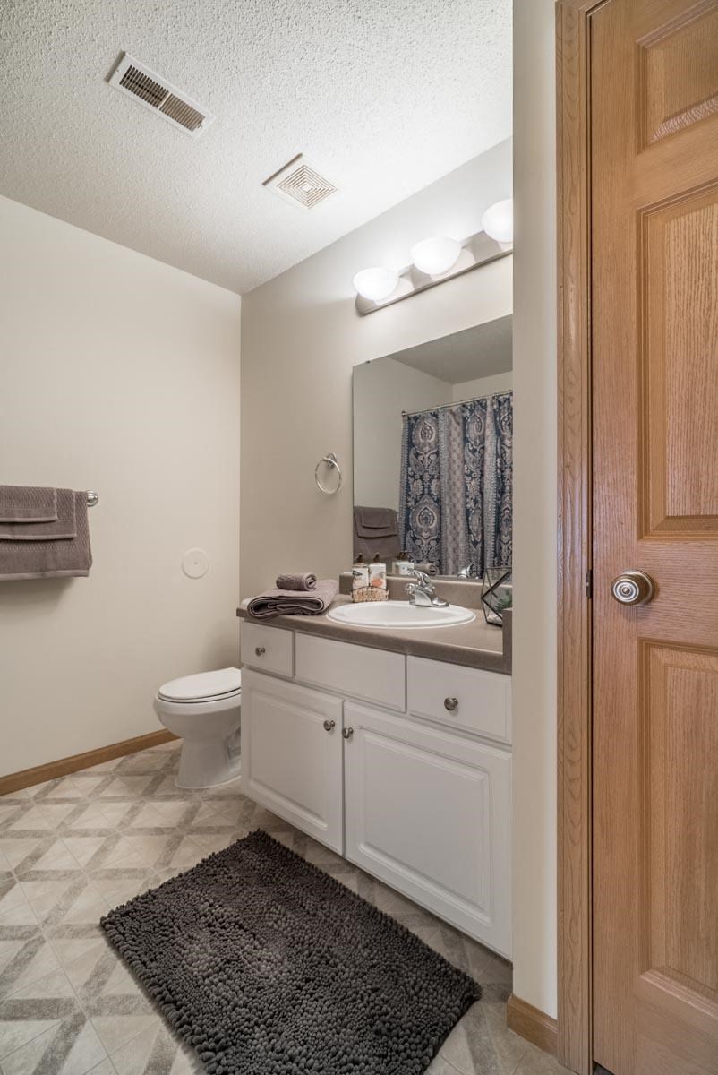 A bathroom with a toilet, sink, mirror, and a rug.