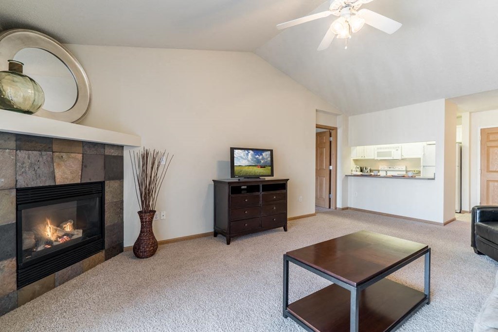 A living room with a fireplace and a television.