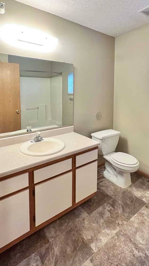 a bathroom with a vanity sink and large mirror