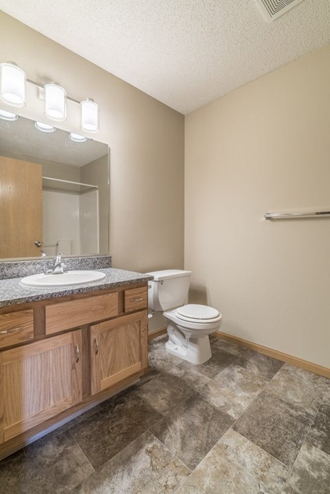 A bathroom with a toilet, sink, and wooden cabinets.
