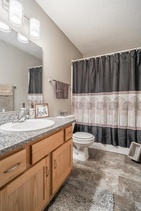 A bathroom with a sink, toilet, and shower curtain.
